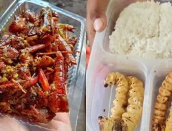 Badan Gizi Nasional Pertimbangkan Belalang dan Ulat Sagu untuk Penambah Protein dalam Makan Bergizi Gratis