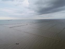 Agung Sedayu Group Membayar Pajak Resmi HGB di Laut Tangerang, Dulunya Tambak dan Sawah