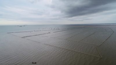 Agung Sedayu Group Membayar Pajak Resmi HGB di Laut Tangerang, Dulunya Tambak dan Sawah