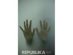 Viral Kasus Pelecehan di KRL, KAI Commuter Siap Tindak Tegas Terhadap Pelaku Viral Kasus Pelecehan di KRL, KAI Commuter Siap Tindak Tegas Terhadap Pelaku