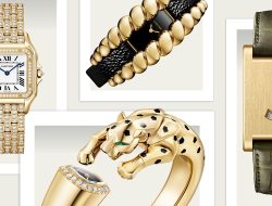 Cartier Luncurkan Koleksi Jam Tangan Elegan yang Memukau Cartier Luncurkan Koleksi Jam Tangan Elegan yang Memukau