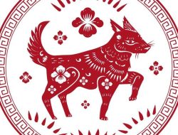 Saksikan Prediksi Shio Anjing untuk April 2025: Cinta, Karir, Sosial, dan Keuangan, Mana yang Akan Beruntung? Saksikan Prediksi Shio Anjing untuk April 2025: Cinta, Karir, Sosial, dan Keuangan, Mana yang Akan Beruntung?
