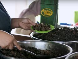 Eksplorasi Rasa Khas Magetan: Dari Sate Gule Kambing Hingga Hidangan Bekicot Yang Memukau Eksplorasi Rasa Khas Magetan: Dari Sate Gule Kambing Hingga Hidangan Bekicot Yang Memukau