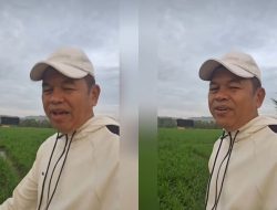 Sopir Angkot Bogor Tolak Kompen di Puncak, Gubernur Diminta Perbaiki Statemen: Investigasi, Dedi Mulyadi! Sopir Angkot Bogor Tolak Kompen di Puncak, Gubernur Diminta Perbaiki Statemen: Investigasi, Dedi Mulyadi!