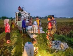 Liburan Lebaran, Bulog Pati Terus Menyerap Gabah Petani, Berapa Jumlahnya! Liburan Lebaran, Bulog Pati Terus Menyerap Gabah Petani, Berapa Jumlahnya!
