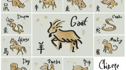 3 Shio yang Hidup Sederhana dan Jujur Dipastikan Beruntung Kaya Seumur Hidup