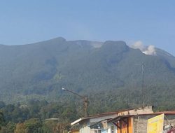 Badan Geologi: Kegiatan Gempa di Gunung Gede Mulai Mereda