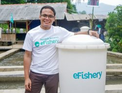 Daftar Startup yang Memanipulasi Laporan Keuangan, eFishery Tidak Termasuk