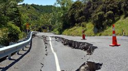 Singapura Kirim 10 Kecoa Cyber ke Myanmar: Bantuan Unik untuk Korban Gempa