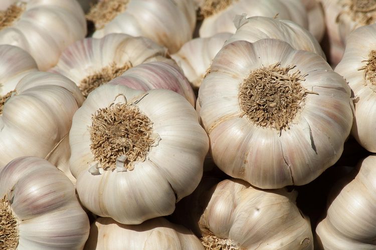Cara Optimal untuk Konsumsi Bawang Putih dan Simpan Manfaat Kesehatannya