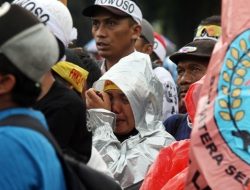 Pengangkatan PPPK Paruh Waktu Wajib, Namun Aturannya Tak Menyeramkan Pengangkatan PPPK Paruh Waktu Wajib, Namun Aturannya Tak Menyeramkan