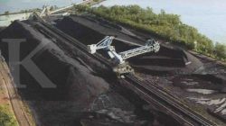 Pendapatan dan Laba Bersih Bumi Resources (BUMI) Anjlok di Kuarter I-2025