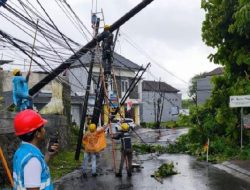 Cerita Pedagang Ikan Hias Tentang Kerugian Akibat Pemadaman Listrik di Bali Cerita Pedagang Ikan Hias Tentang Kerugian Akibat Pemadaman Listrik di Bali