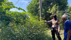 Brigadir Dwi Retno Putri: Galakkan Penggunaan Lahan Kosong untuk Pertanian Produktif