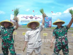 Mentan: Produksi Padi Naik Drastis Terima Bantuan dari TNI Mentan: Produksi Padi Naik Drastis Terima Bantuan dari TNI