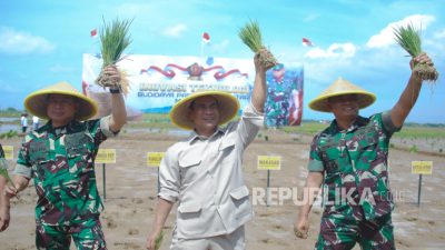 Mentan: Produksi Padi Naik Drastis Terima Bantuan dari TNI