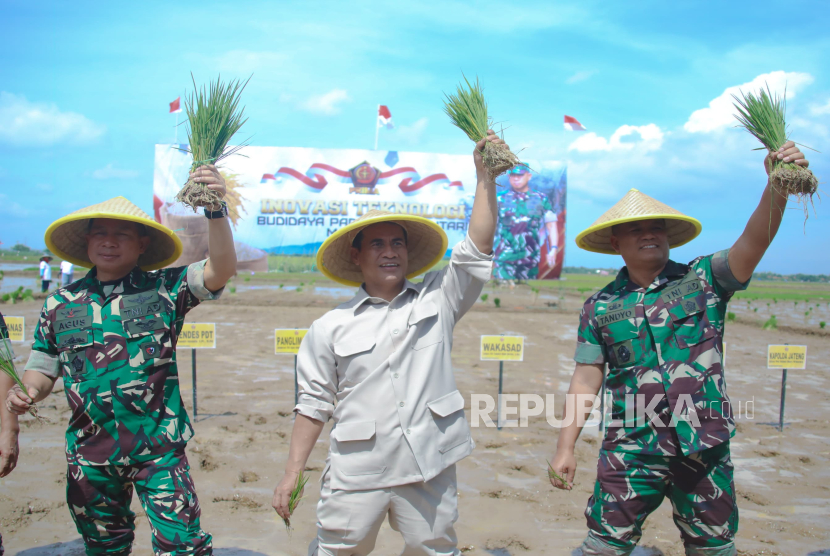 Mentan: Produksi Padi Naik Drastis Terima Bantuan dari TNI