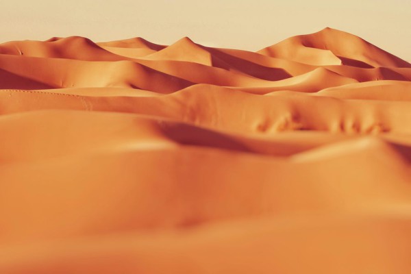 4 Fakta Menakjubkan Tentang Kehidupan Rahasia di Balik Pasir-Pasir Sahara