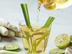 Resep Segar: Lemongrass Tea (Teh Serai) untuk Kesehatan dan Kenikmatan Resep Segar: Lemongrass Tea (Teh Serai) untuk Kesehatan dan Kenikmatan