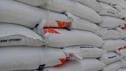 Selamat! Bagiannya Kembali: Bantuan Beras 10 Kg untuk Keluarga Berhak, Lihat Syaratnya Di Sini!