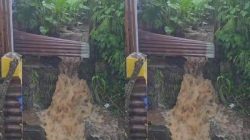 Aliran Air Terhambat, Warga Kelurahan Sasa Ternate Terendam Banjir
