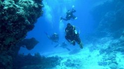 Perbedaan Freediving Vs Scuba Diving, Yakin Kamu Sudah Tahu?