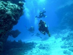 Perbedaan Freediving Vs Scuba Diving, Yakin Kamu Sudah Tahu? Perbedaan Freediving Vs Scuba Diving, Yakin Kamu Sudah Tahu?