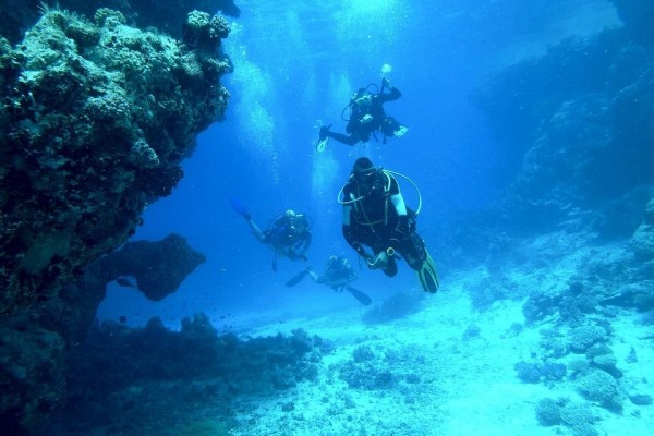 Perbedaan Freediving Vs Scuba Diving, Yakin Kamu Sudah Tahu?