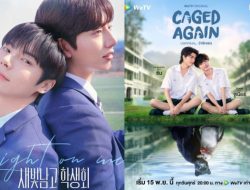 10 Cerita Cinta BL dari Korea dan Thailand yang Seru untuk Dijadikan Paket 10 Cerita Cinta BL dari Korea dan Thailand yang Seru untuk Dijadikan Paket