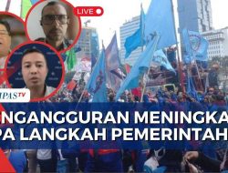 [EXPOSED] Cara Pemerintah Kurangi PHK dan Mengentaskan Pengangguran Selama Lesunya Ekonomi di Indonesia
