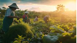 Sistem Ekonomi di Desa: Perubahan Petani dan Dampak pada Kehidupan Sosial