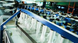 Simak Rahasia Haloni Jane (HALO) untuk Mencapai Lonjakan Penjualan 45% pada 2025