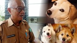 Tetap Aman dan Sehat dengan Anjing Kesayangan! DKPP Belitung Himbau Hindari Pelepaslelangan Tetap Aman dan Sehat dengan Anjing Kesayangan! DKPP Belitung Himbau Hindari Pelepaslelangan