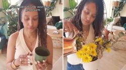 Plant Lover’s Genius Hack: Transform Old Pots Into Brilliant Flower Arrangements – ‘Ingenious Idea!’