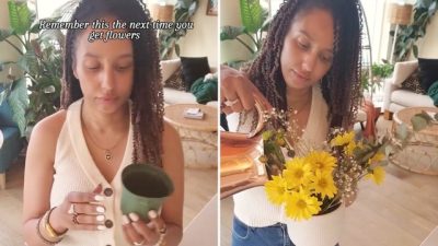 Plant Lover’s Genius Hack: Transform Old Pots Into Brilliant Flower Arrangements – ‘Ingenious Idea!’