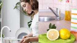 4 Tempat Paling Tercemar di Dapur Minimalis, Lebih Kotor dari Kamar Mandi
