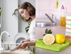 4 Tempat Paling Tercemar di Dapur Minimalis, Lebih Kotor dari Kamar Mandi 4 Tempat Paling Tercemar di Dapur Minimalis, Lebih Kotor dari Kamar Mandi