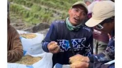 Harga Padi Turun Drastis, Petani Lampung Demo ke Prabowo