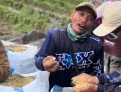 Harga Padi Turun Drastis, Petani Lampung Demo ke Prabowo