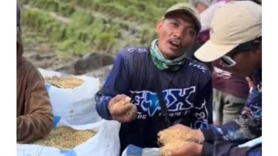 Harga Padi Turun Drastis, Petani Lampung Demo ke Prabowo