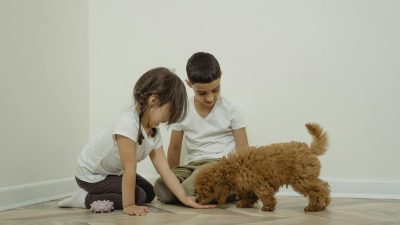 Why Science Says Your Dog Is Both Family and Best Friend in One