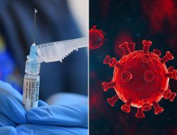 Health Expert Rages Over Aussie Vaccine Apathy: “We’ve Dropped the Ball” – International Edition (English)