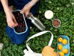 Effortless Zero-Waste Picnicking: Tips for an Eco-Friendly Feast in Australia