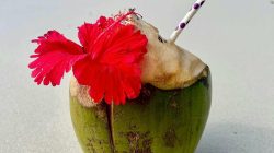 Can Coconut Water Help or Harm Liver Disease Patients?