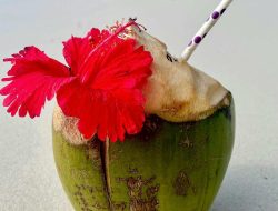 Can Coconut Water Help or Harm Liver Disease Patients?
