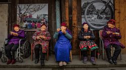 Grandma’s Spring Roll Triumph: Adorable Seniors Crowned Winners at World Food Photography Awards