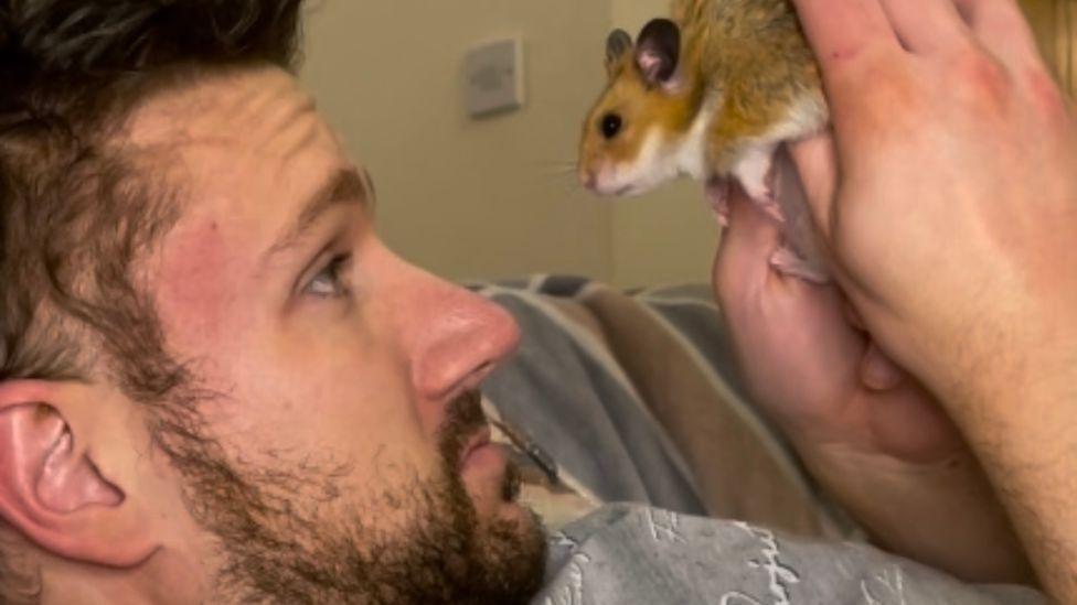 Hamster Hijinks: How My Pet Led Me to Love