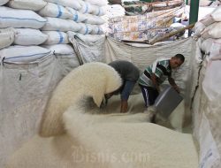 Harga Pangan Minggu Ini: Beras Tetap Tinggi, Cabai Rawit Malah Anjlok Harga Pangan Minggu Ini: Beras Tetap Tinggi, Cabai Rawit Malah Anjlok