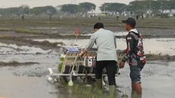 Viral: Wapres Gibran Mencoba Alat Tanam Padi di Ngawi, Hasilnya Unik, Netizen Ketawa