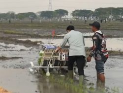Viral: Wapres Gibran Mencoba Alat Tanam Padi di Ngawi, Hasilnya Unik, Netizen Ketawa